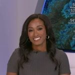 Brittany’s grey pinstripe dress on Good Morning America