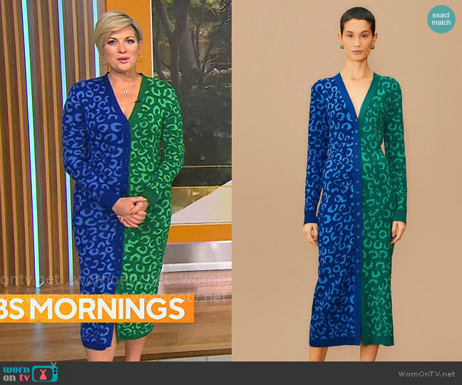 WornOnTV: Jamie Yuccas’ blue and green leopard print cardigan dress on ...