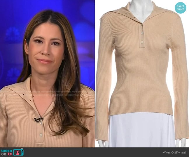 Frame Half Button Turtleneck Ribbed Sweater worn by Deirdre Bosa on NBC News Daily