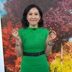 Vicky’s green cap sleeve knit dress on Today