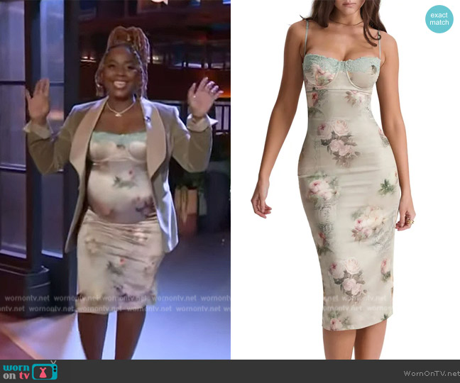 House of CB Floral Lace Trim Underwire Cocktail Dress worn by Pinky Cole on The Kelly Clarkson Show