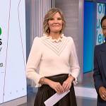 Kate’s brown leather skirt on NBC News Daily