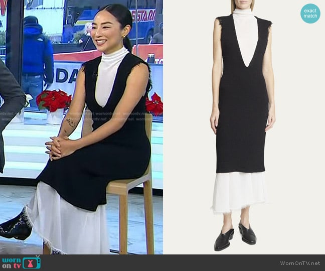 Proenza Schouler Mary Knit Layered Turtleneck Dress worn by Greta Lee on Today