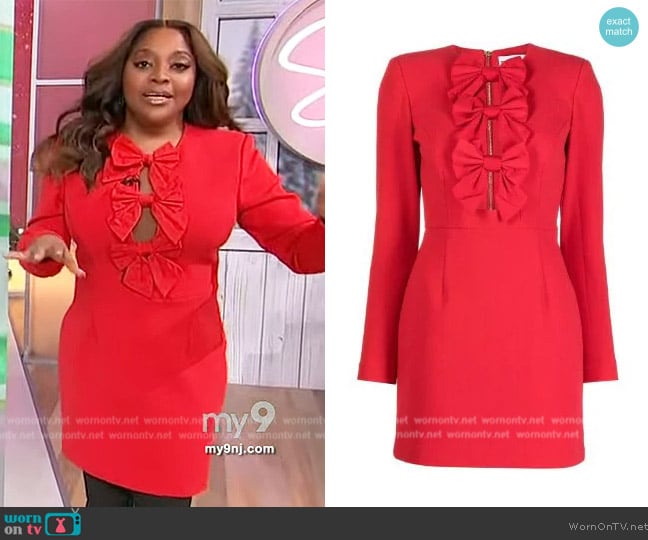 Rebecca Vallance Scarlett long-sleeved mini dress worn by Sherri Shepherd on Sherri