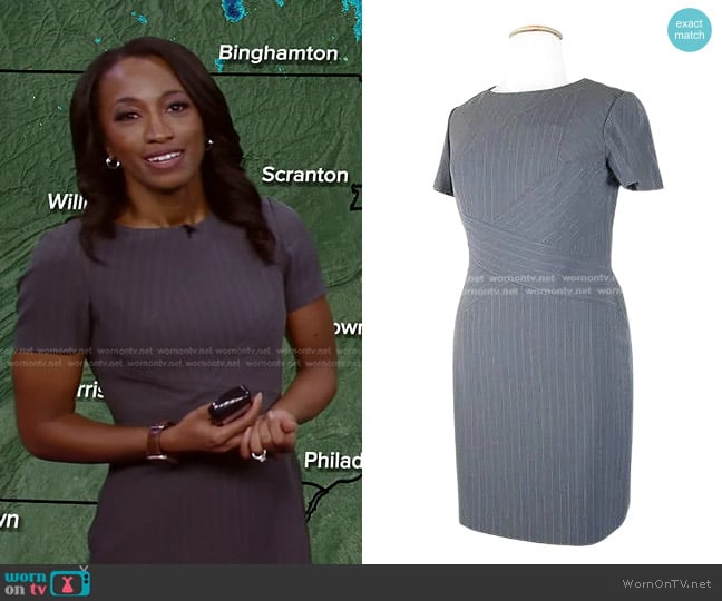 Tahari Pinstripe Dress worn by Brittany Bell on Good Morning America