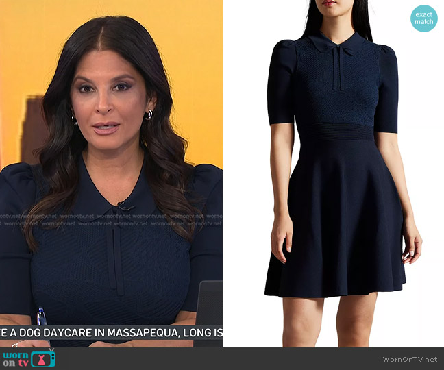 Ted Baker Hillder Mixed Stitch Knit Dress worn by Darlene Rodriguez on Today