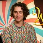 Timothee Chalamet’s multicolored sweater on Access Hollywood