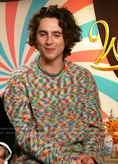 Timothee Chalamet's multicolored sweater on Access Hollywood