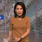 Vicky’s brown patch pocket shift dress on NBC News Daily