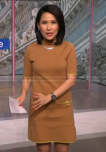 Vicky's brown patch pocket shift dress on NBC News Daily