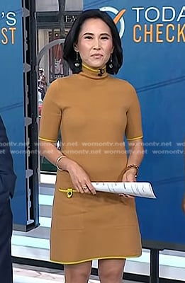 Vicky's brown turtleneck dress on Today