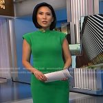 Vicky’s green fuzzy dress on NBC News Daily