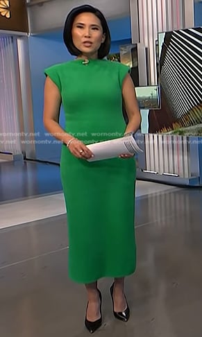 Vicky's green fuzzy dress on NBC News Daily