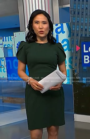 Vicky’s green short sleeve dress on NBC News Daily