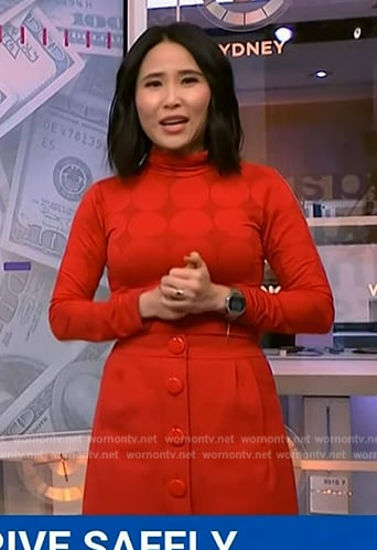 Vicki'e red top and skirt on NBC News Daily