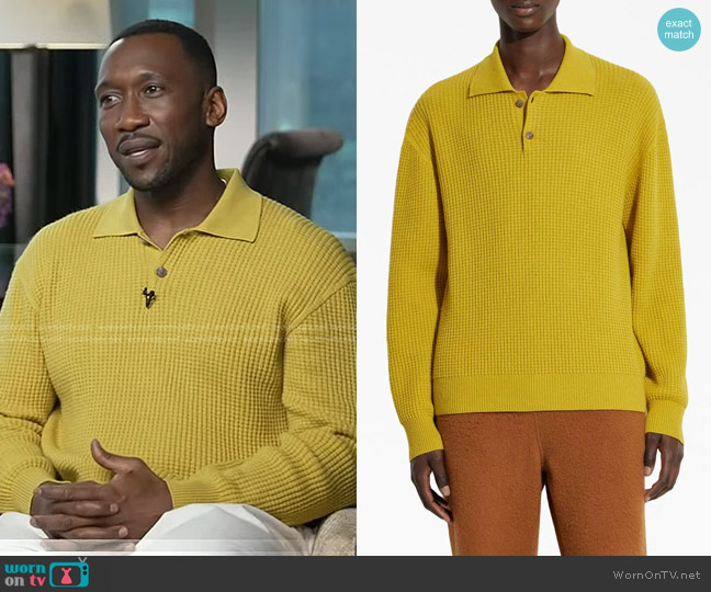 Zegna x The Elder Statesman Oasi cashmere polo shirt worn by Mahershala Ali on Today