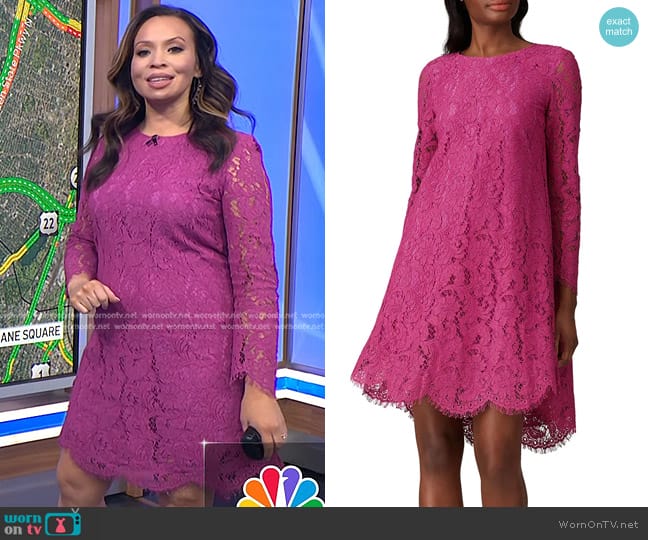 Adam Lippes Collective Long Sleeve Trapeze Dress worn by Adelle Caballero on Today