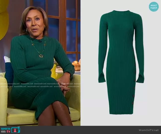 Adam Lippes Collective Side Button Dress in Green worn by Robin Roberts on Good Morning America