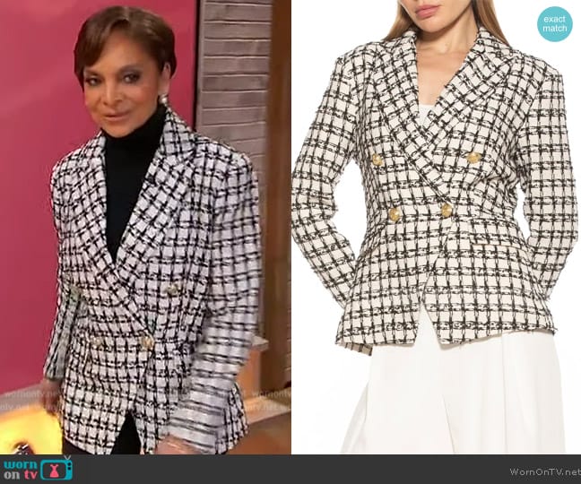 Alexia Admor Double Breasted Tweed Jacket worn by Jasmine Guy on Sherri