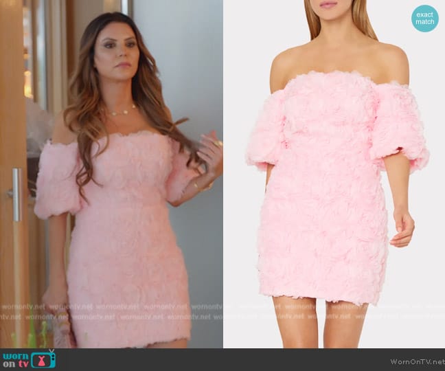 Milly Naia Mesh Rose Mini Dress worn by Adriana de Moura (Adriana de Moura) on The Real Housewives of Miami