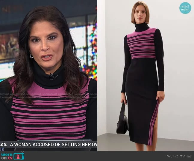 Toccin x RTR Stripe Turtleneck Dress worn by Darlene Rodriguez on Today