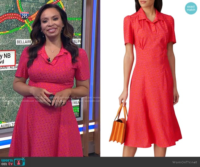 WornOnTV: Adelle’s pink dotted polo dress on Today | Adelle Caballero ...