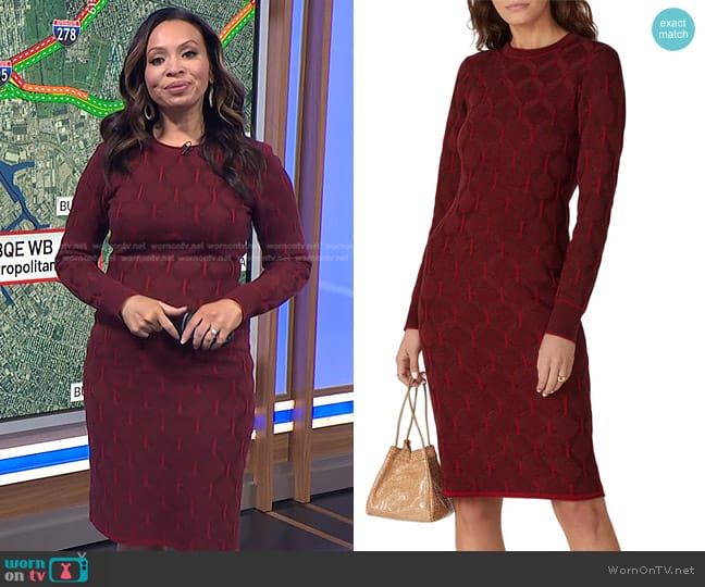 Thakoon Collective Sweater Dress in Maroon worn by Adelle Caballero on Today