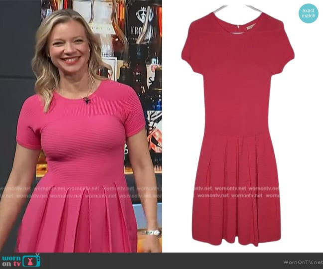 Shoshanna Pink Drop Waist Fit Flare Pleated Zip Knit worn by Amy Smart on Access Hollywood