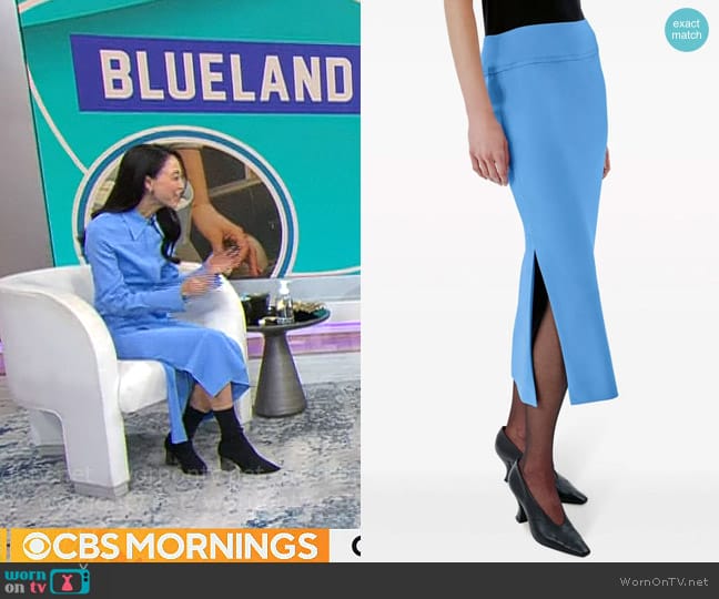 Another Tomorrow Bias Slip Skirt worn by Sarah Paiji Yoo on CBS Mornings