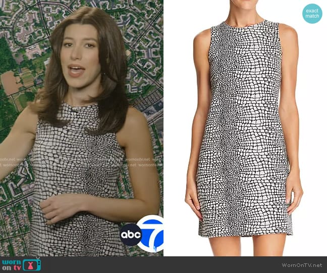 Aqua Animal Print Shift Dress worn by Lindsay Tuchman on Good Morning America