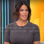 Dana Jacobson’s grey suede dress on CBS This Morning