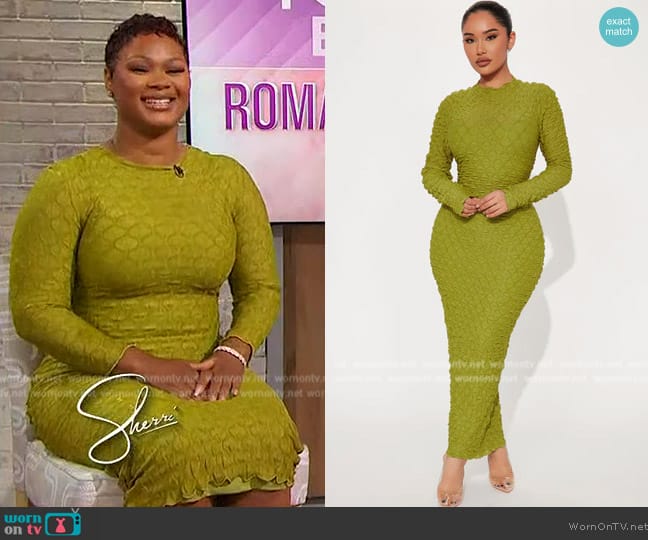 Fashion Nova Scarlett Textured Maxi Dress worn by Brittainy Noel on Sherri