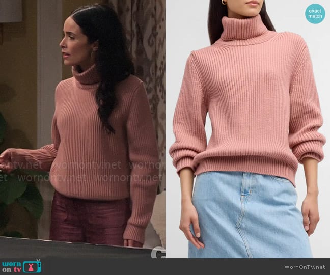 Fortela Leona Turtleneck Wool Sweater worn by Julia Mariano (Abigail Spencer) on Extended Family