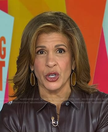 Hoda’s brown tigers eye drop earrings on Today