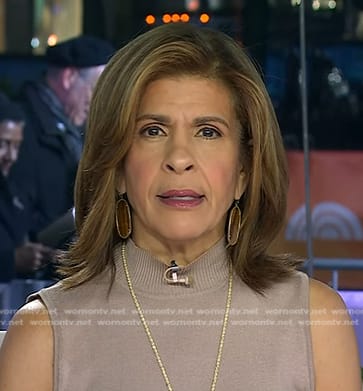 Hoda's brown tigers eye drop earrings on Today