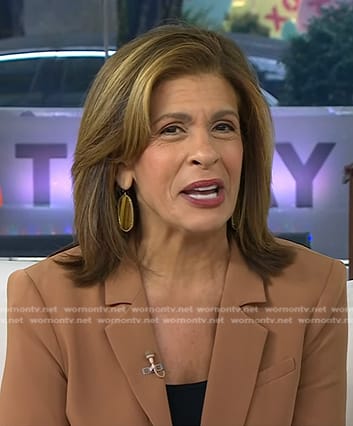 Hoda’s brown tigers eye drop earrings on Today