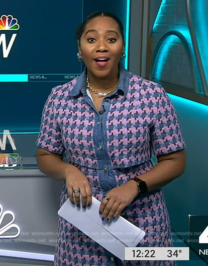 Kay's pink and blue houdstooth tweed dress on NBC News Daily