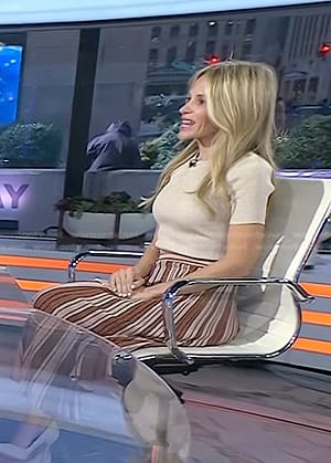 Dr. Marnie Nussbaum’s metallic striped skirt on Today