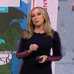 Michelle Grossmann’s blue side stripe dress on NBC News Daily