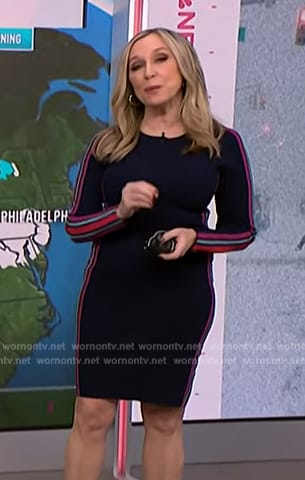 Michelle Grossmann’s blue side stripe dress on NBC News Daily