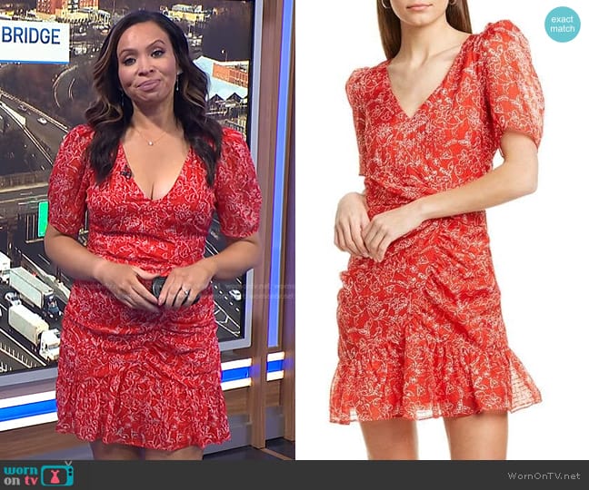 Parker Krislyn Dress worn by Adelle Caballero on Today