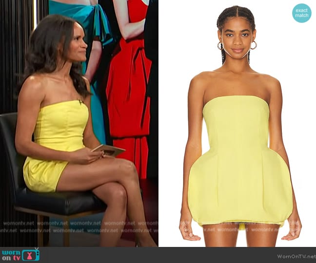 Pfeiffer Noah Strapless Dress worn by Amanda Garrigus on E! News