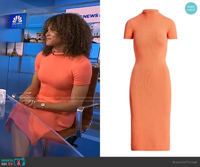 Ralph Lauren Roll Neck Sweater Dress in Melon worn by Sydney McLaughlin-Levrone on NBC News Daily