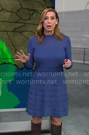 Stephanie Abrams' blue long sleeve knit dress on CBS Mornings