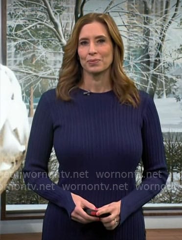 Stephanie Abrams' navy knit dress on CBS Mornings