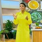 Tamron’s yellow polka dot sheer shirtdress on Tamron Hall Show