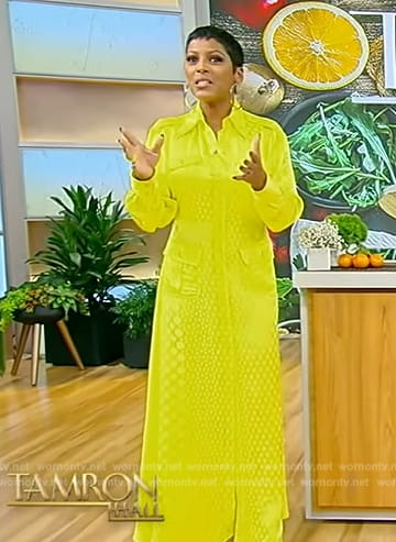 Tamron's yellow polka dot sheer shirtdress on Tamron Hall Show