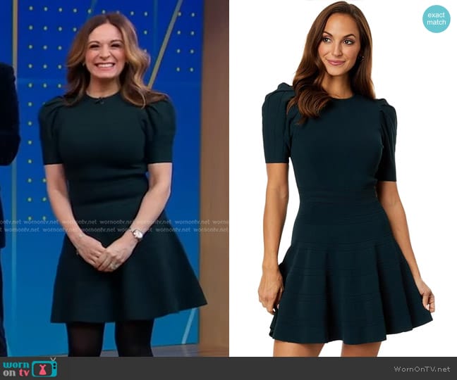 Ted Baker Velvey Puff Sleeve Dress in Dark Green worn by Anna Gass on Good Morning America