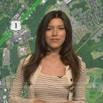 Lindsay Tuchman’s beige striped top and cardigan on Good Morning America