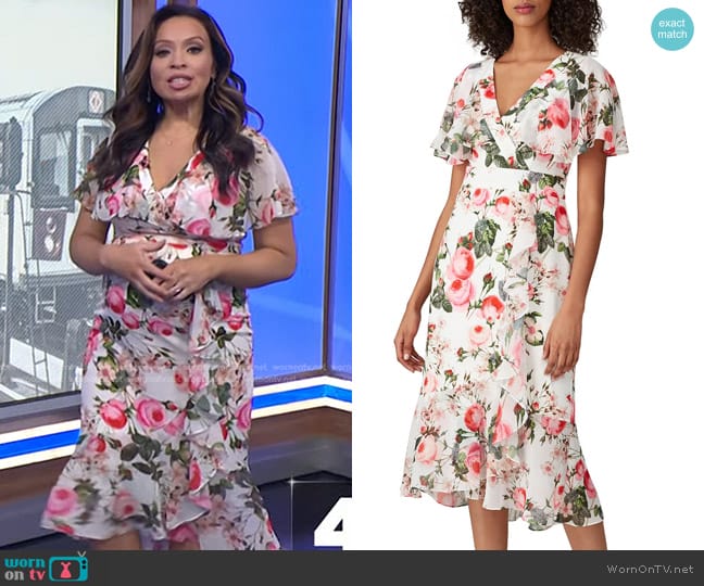 Adrianna Papell Floral Flutter Sleeve Dress worn by Adelle Caballero on Today